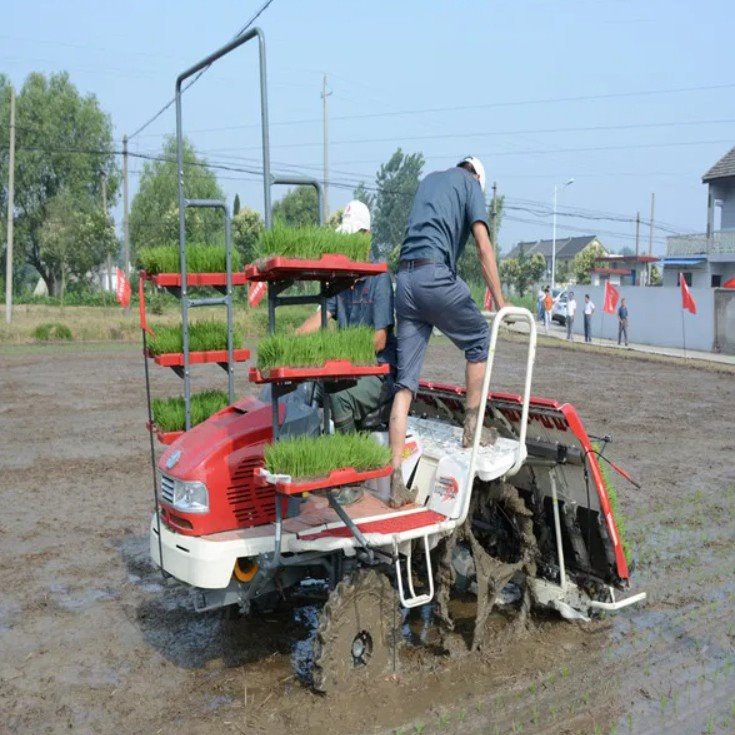 Rice Transplanter suppliers